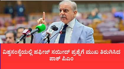 ವಿಶ್ವಸಂಸ್ಥೆಯಲ್ಲಿ ಹಫೀಜ್ ಸಯೀದ್ ಪ್ರಶ್ನೆಗೆ ಮುಖ ತಿರುಗಿಸಿದ ಪಾಕ್ ಪಿಎಂ