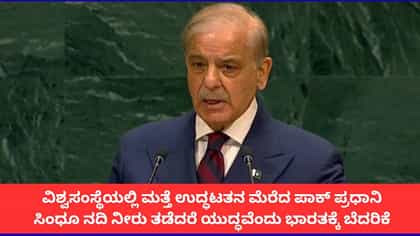 ಕಾಶ್ಮೀರ ಪಾಕಿಸ್ತಾನದ ಜೀವಾಳ, ಸಿಂಧೂ ನದಿ ನೀರು ತಡೆದರೆ ಯುದ್ಧ; ಪಾಕ್ ಪಿಎಂ