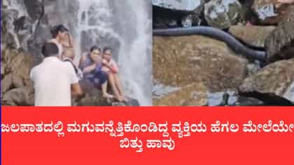 ಜಲಪಾತದಲ್ಲಿ ಮಗುವಿನೊಂದಿಗೆ ಆಟವಾಡುತ್ತಿದ್ದ ವ್ಯಕ್ತಿಯ ಮೇಲೆ ಬಿತ್ತು ಹಾವು