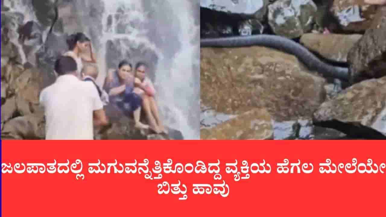 ಜಲಪಾತದಲ್ಲಿ ಮಗುವನ್ನೆತ್ತಿಕೊಂಡಿದ್ದ ವ್ಯಕ್ತಿಯ ಹೆಗಲ ಮೇಲೆಯೇ ಬಿತ್ತು ಹಾವು: ಅಂಬೋಲಿ ಫಾಲ್ಸ್ನಲ್ಲಿ ಮೈ ಜುಂ ಎನಿಸುವ ದೃಶ್ಯ
