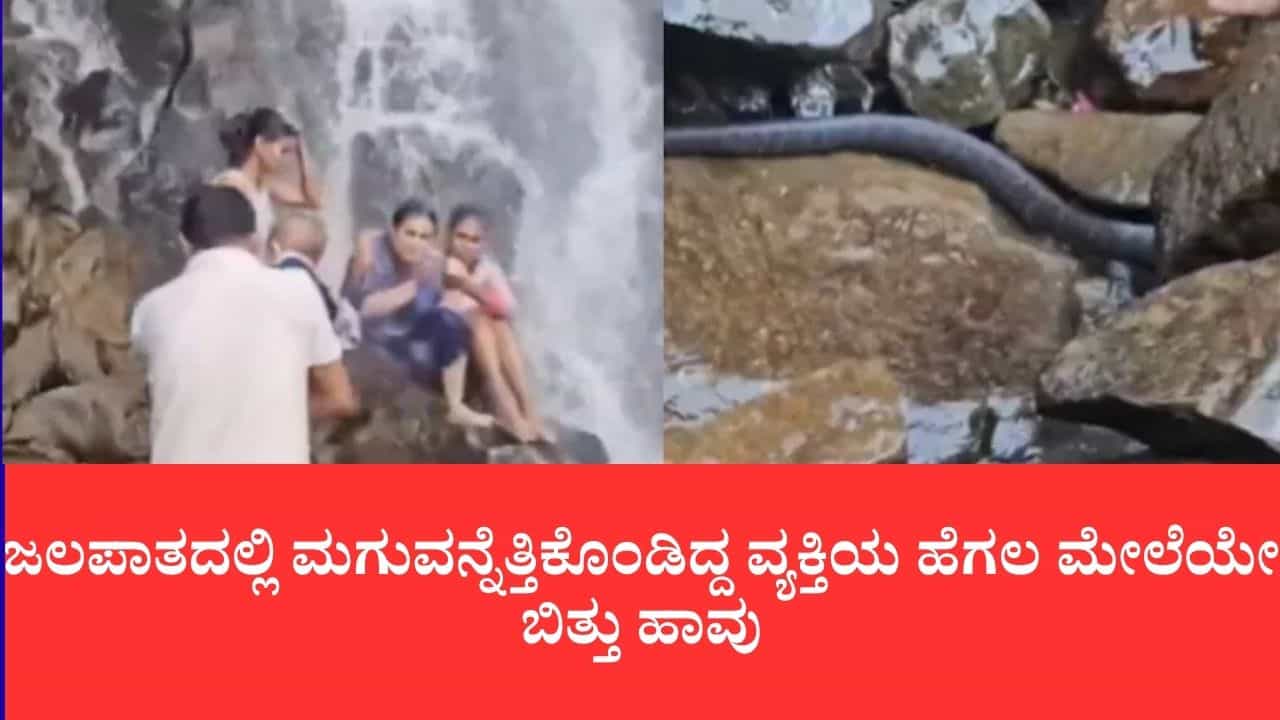 ಜಲಪಾತದಲ್ಲಿ ಮಗುವನ್ನೆತ್ತಿಕೊಂಡಿದ್ದ ವ್ಯಕ್ತಿಯ ಹೆಗಲ ಮೇಲೆಯೇ ಬಿತ್ತು ಹಾವು: ಅಂಬೋಲಿ ಫಾಲ್ಸ್ನಲ್ಲಿ ಮೈ ಜುಂ ಎನಿಸುವ ದೃಶ್ಯ ಜಲಪಾತದಲ್ಲಿ ಮಗುವನ್ನೆತ್ತಿಕೊಂಡಿದ್ದ ವ್ಯಕ್ತಿಯ ಹೆಗಲ ಮೇಲೆಯೇ ಬಿತ್ತು ಹಾವು: ಅಂಬೋಲಿ ಫಾಲ್ಸ್ನಲ್ಲಿ ಮೈ ಜುಂ ಎನಿಸುವ ದೃಶ್ಯ