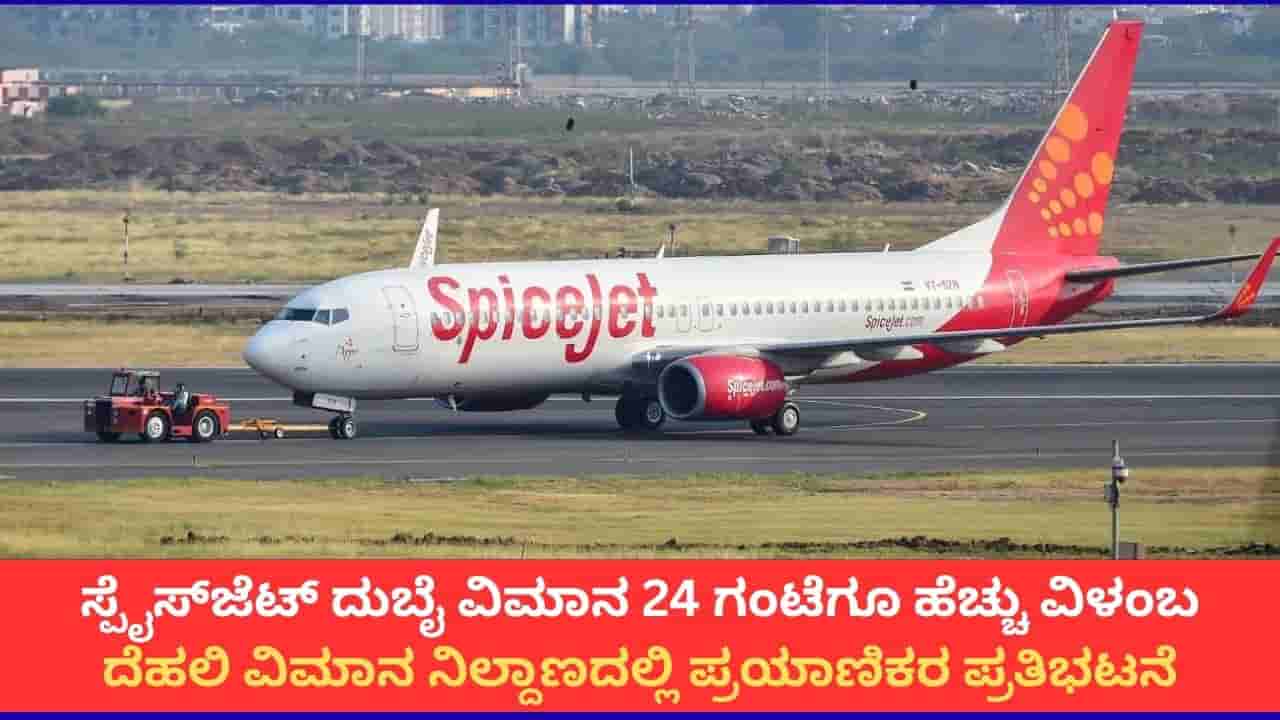 ದೆಹಲಿಯಲ್ಲಿ ಸ್ಪೈಸ್ಜೆಟ್ ವಿಮಾನಗಳ ವಿಳಂಬಕ್ಕೆ ಖಂಡನೆ; ಏರ್ಪೋರ್ಟ್ನಲ್ಲಿ 200ಕ್ಕೂ ಹೆಚ್ಚು ಪ್ರಯಾಣಿಕರ ಪ್ರತಿಭಟನೆ