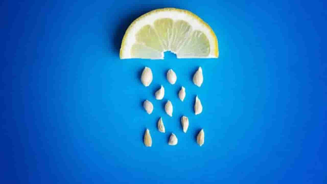 Lemon Seed: ಆಕಸ್ಮಿಕವಾಗಿ ನಿಂಬೆ ಬೀಜ ನುಂಗಿಬಿಟ್ಟರೆ ಏನಾಗುತ್ತದೆ? ಹೊಟ್ಟೆಯಲ್ಲಿ ಏನೆಲ್ಲ ಆಗುತ್ತೆ?