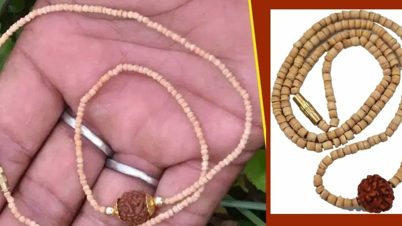 ತುಳಸಿ ಮಾಲೆ ಮತ್ತು ರುದ್ರಾಕ್ಷಿಯನ್ನು ಒಟ್ಟಿಗೆ ಧರಿಸಬಹುದೇ? ಶಾಸ್ತ್ರಗಳು ಹೇಳುವುದೇನು?