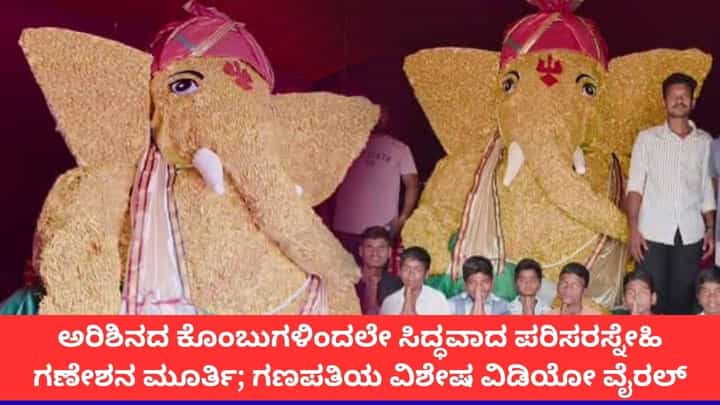 ಅರಿಶಿನದ ಕೊಂಬುಗಳಿಂದಲೇ ಸಿದ್ಧವಾದ ಪರಿಸರಸ್ನೇಹಿ ಗಣೇಶನ ಮೂರ್ತಿ; ಗಣಪತಿಯ ವಿಶೇಷ ವಿಡಿಯೋ ವೈರಲ್ ಅರಿಶಿನದ ಕೊಂಬುಗಳಿಂದಲೇ ಸಿದ್ಧವಾದ ಪರಿಸರಸ್ನೇಹಿ ಗಣೇಶನ ಮೂರ್ತಿ; ಗಣಪತಿಯ ವಿಶೇಷ ವಿಡಿಯೋ ವೈರಲ್