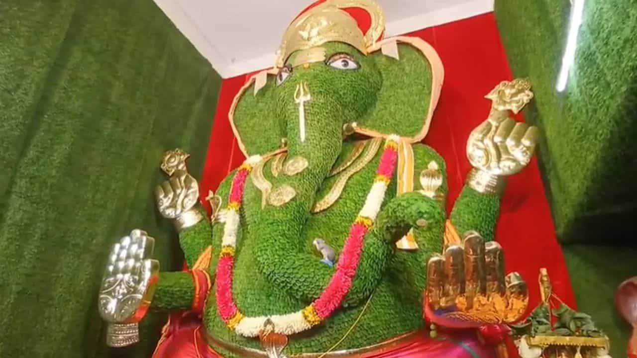 ಅಪರೂಪದ ಗಣೇಶೋತ್ಸವ: ಪಿಒಪಿ ಬದಲು 200 ಕೆಜಿ ಕಿವಿ ಹಣ್ಣು, 500 ಕೆಜಿ ಗೋಡಂಬಿಯಿಂದಲೇ ಸಿದ್ಧವಾಯ್ತು ಗಣೇಶ! ಅಪರೂಪದ ಗಣೇಶೋತ್ಸವ: ಪಿಒಪಿ ಬದಲು 200 ಕೆಜಿ ಕಿವಿ ಹಣ್ಣು, 500 ಕೆಜಿ ಗೋಡಂಬಿಯಿಂದಲೇ ಸಿದ್ಧವಾಯ್ತು ಗಣೇಶ!