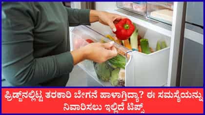 ಫ್ರಿಡ್ಜ್‌ನಲ್ಲಿ ತರಕಾರಿ ಸ್ಟೋರ್‌ ಮಾಡಿಡುವ ಸರಿಯಾದ ವಿಧಾನ