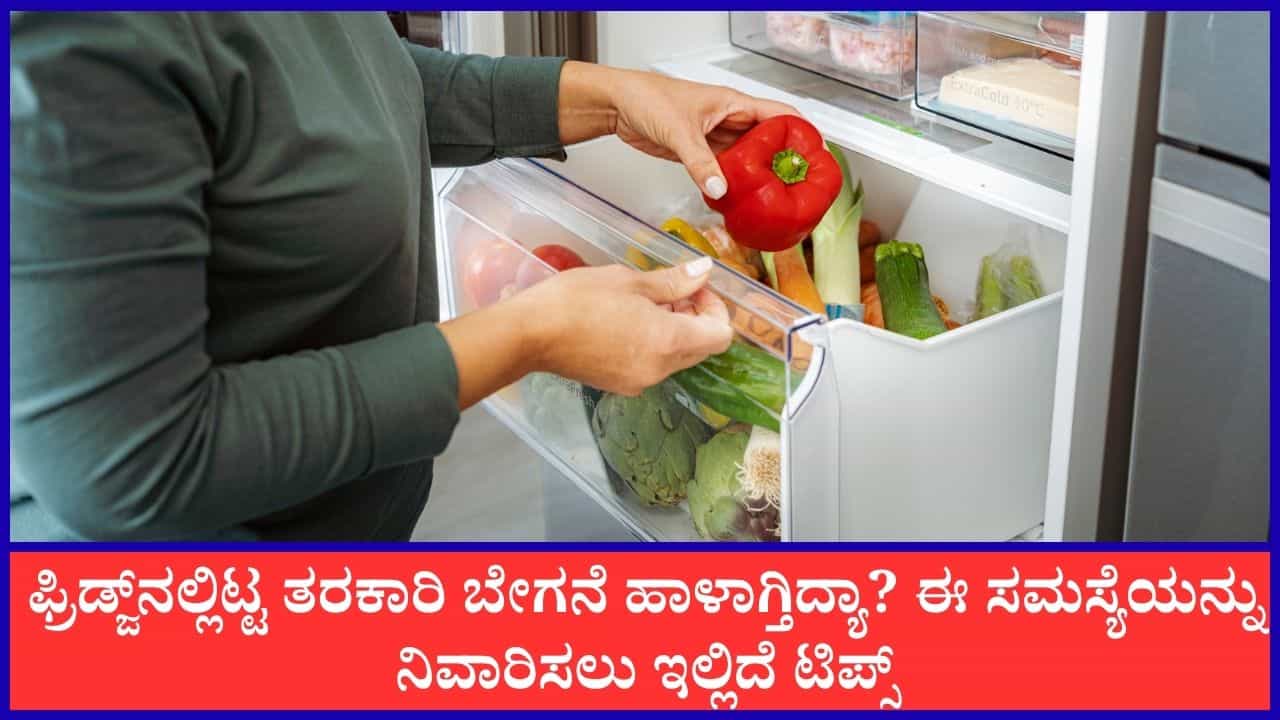 ಫ್ರಿಡ್ಜ್ನಲ್ಲಿಟ್ಟ ತರಕಾರಿ ವಾರಗಟ್ಟಲೆ ಫ್ರೆಶ್ ಆಗಿರಬೇಕೆಂದರೆ ಈ ಟಿಪ್ಸ್ ಅನುಸರಿಸಿ ಫ್ರಿಡ್ಜ್ನಲ್ಲಿಟ್ಟ ತರಕಾರಿ ವಾರಗಟ್ಟಲೆ ಫ್ರೆಶ್ ಆಗಿರಬೇಕೆಂದರೆ ಈ ಟಿಪ್ಸ್ ಅನುಸರಿಸಿ