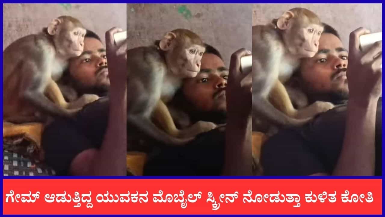 Video: ಗೇಮ್ ಆಡುತ್ತಿದ್ದ ಯುವಕನ ಮೊಬೈಲ್ ಸ್ಕ್ರೀನ್‌ ನೋಡುತ್ತಾ ಕುಳಿತ ಕೋತಿ