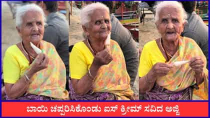 ಬಾಯಿ ಚಪ್ಪರಿಸಿಕೊಂಡು ಐಸ್ ಕ್ರೀಮ್ ಸವಿದ ಅಜ್ಜಿ