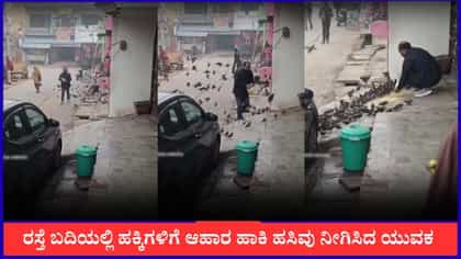 ರಸ್ತೆ ಬದಿಯಲ್ಲಿ ಹಕ್ಕಿಗಳಿಗೆ ಆಹಾರ ಹಾಕಿ ಹಸಿವು ನೀಗಿಸಿದ ಯುವಕ