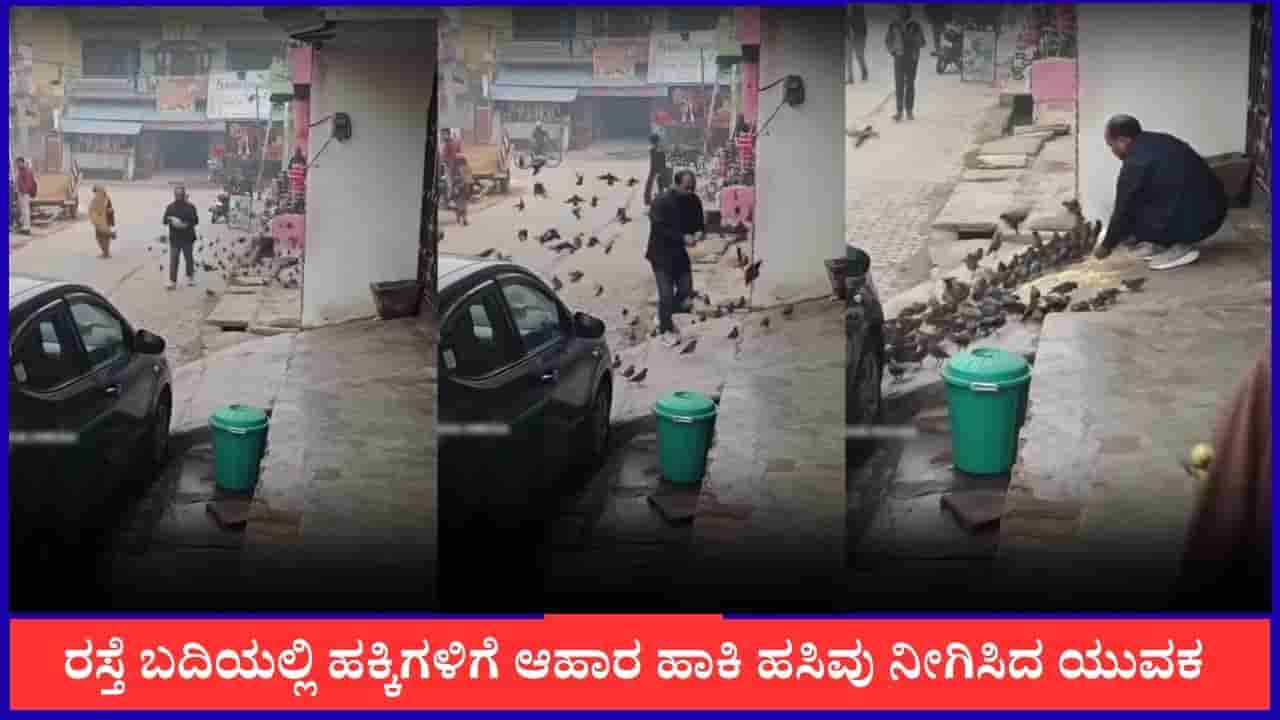 Video: ರಸ್ತೆ ಬದಿಯಲ್ಲಿ ಹಕ್ಕಿಗಳಿಗೆ ಆಹಾರ ಹಾಕಿ ಹಸಿವು ನೀಗಿಸಿದ ಯುವಕ