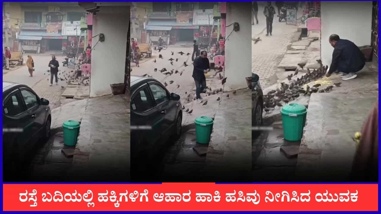Video: ರಸ್ತೆ ಬದಿಯಲ್ಲಿ ಹಕ್ಕಿಗಳಿಗೆ ಆಹಾರ ಹಾಕಿ ಹಸಿವು ನೀಗಿಸಿದ ಯುವಕ Video: ರಸ್ತೆ ಬದಿಯಲ್ಲಿ ಹಕ್ಕಿಗಳಿಗೆ ಆಹಾರ ಹಾಕಿ ಹಸಿವು ನೀಗಿಸಿದ ಯುವಕ