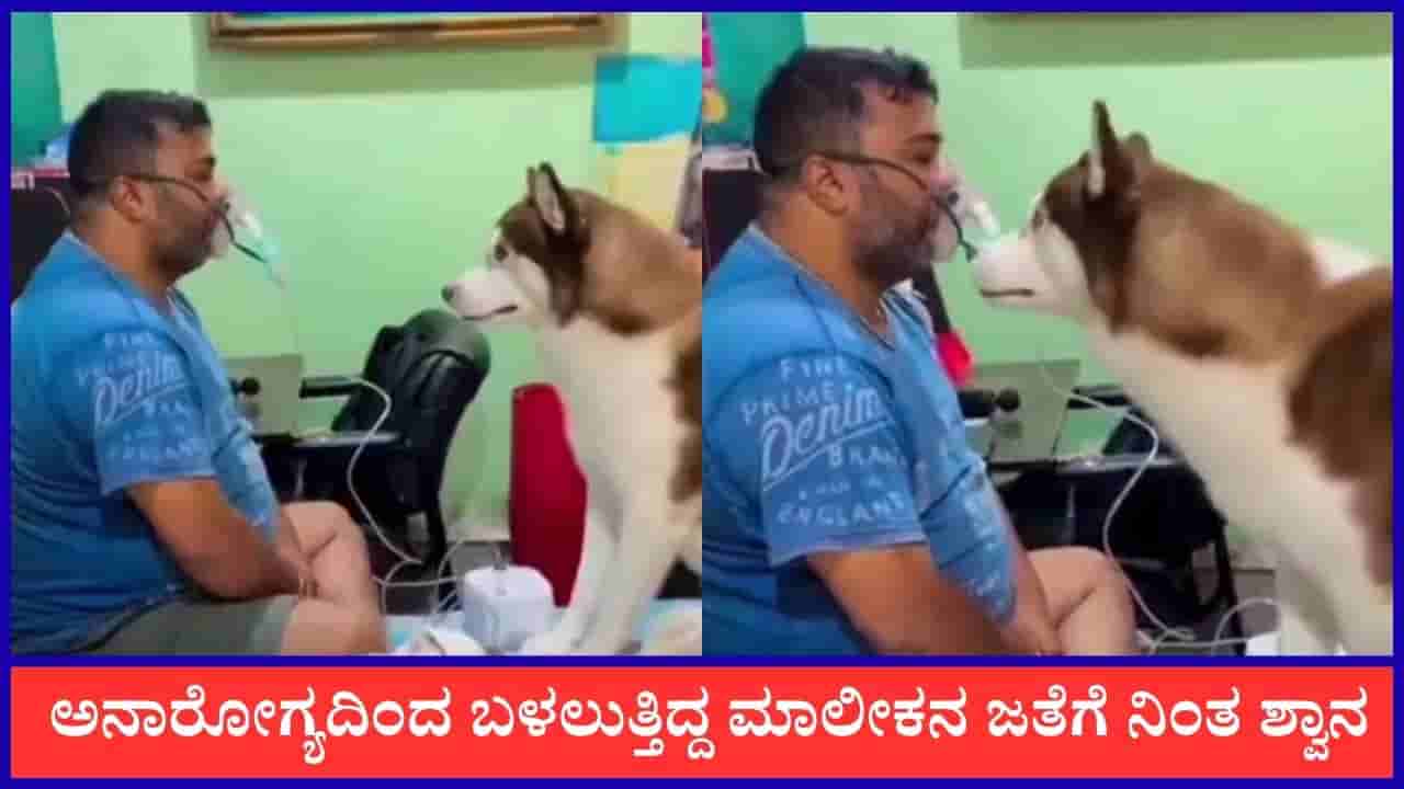 Video: ನಾನು ನಿನ್ನ ಜೊತೆಗಿದ್ದೇನೆ; ಅನಾರೋಗ್ಯದಿಂದ ಬಳಲುತ್ತಿದ್ದ ಮಾಲೀಕನ ಜತೆಗೆ ನಿಂತ ಶ್ವಾನ