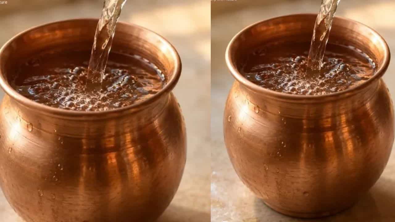 ಶ್ರಾದ್ಧ ಮಾಡೋಕೆ ಸಮಯ ಇಲ್ವಾ? ಪೂರ್ವಜರ ಆಶೀರ್ವಾದ ಪಡೆಯಲು ಈ ಒಂದು ಸರಳ ದಾರಿ ಅನುಸರಿಸಿ! ಶ್ರಾದ್ಧ ಮಾಡೋಕೆ ಸಮಯ ಇಲ್ವಾ? ಪೂರ್ವಜರ ಆಶೀರ್ವಾದ ಪಡೆಯಲು ಈ ಒಂದು ಸರಳ ದಾರಿ ಅನುಸರಿಸಿ!