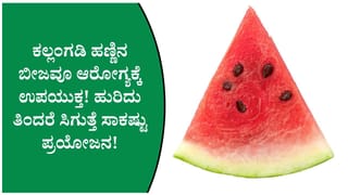 ಕಸದಂತೆ ಎಸೆಯುವ ಕಲ್ಲಂಗಡಿ ಬೀಜವೇ ಪೌಷ್ಟಿಕ ಸ್ನ್ಯಾಕ್! ಸೇವಿಸುವ ಸರಿಯಾದ ವಿಧಾನ ತಿಳಿಯಿರಿ