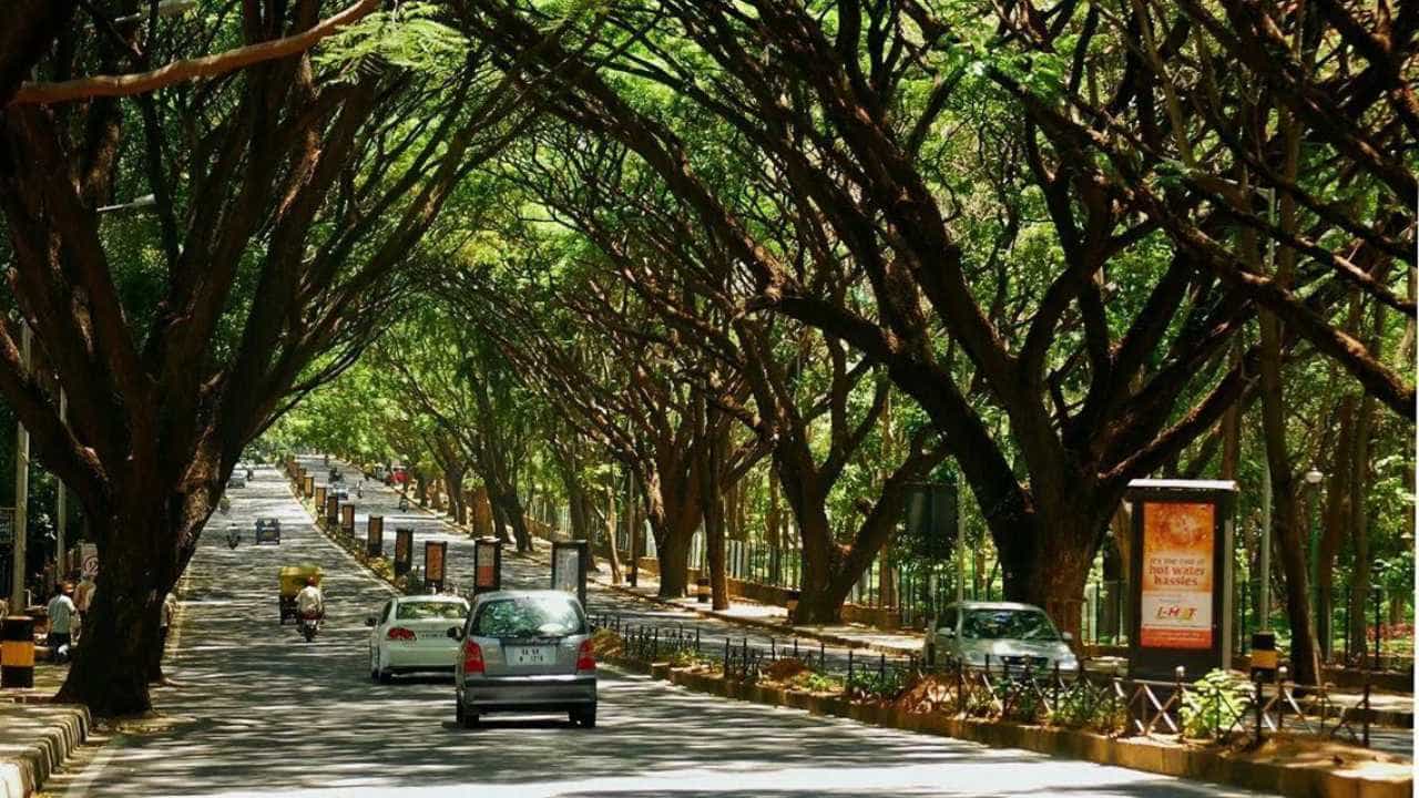 ಕರ್ನಾಟಕ ವಾಯು ಗುಣಮಟ್ಟ ವರದಿ: ಬೆಂಗಳೂರಿನಲ್ಲಿ 'ಸಾಧಾರಣ' ಎಕ್ಯೂಐ, ರಾಜ್ಯದ ಇತರ ಪ್ರಮುಖ ನಗರಗಳಲ್ಲಿ ಉತ್ತಮ ಸ್ಥಿತಿ ಕರ್ನಾಟಕ ವಾಯು ಗುಣಮಟ್ಟ ವರದಿ: ಬೆಂಗಳೂರಿನಲ್ಲಿ 'ಸಾಧಾರಣ' ಎಕ್ಯೂಐ, ರಾಜ್ಯದ ಇತರ ಪ್ರಮುಖ ನಗರಗಳಲ್ಲಿ ಉತ್ತಮ ಸ್ಥಿತಿ