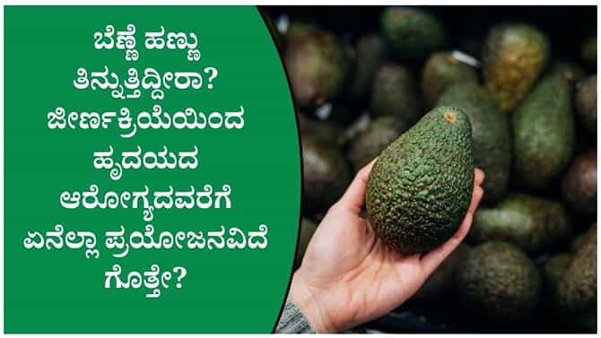ಬೆಣ್ಣೆ ಹಣ್ಣು ತಿನ್ನುತ್ತಿದ್ದೀರಾ? ಆರೋಗ್ಯಕ್ಕೆ ಸಿಗುವ ಪ್ರಯೋಜನಗಳೇನು?