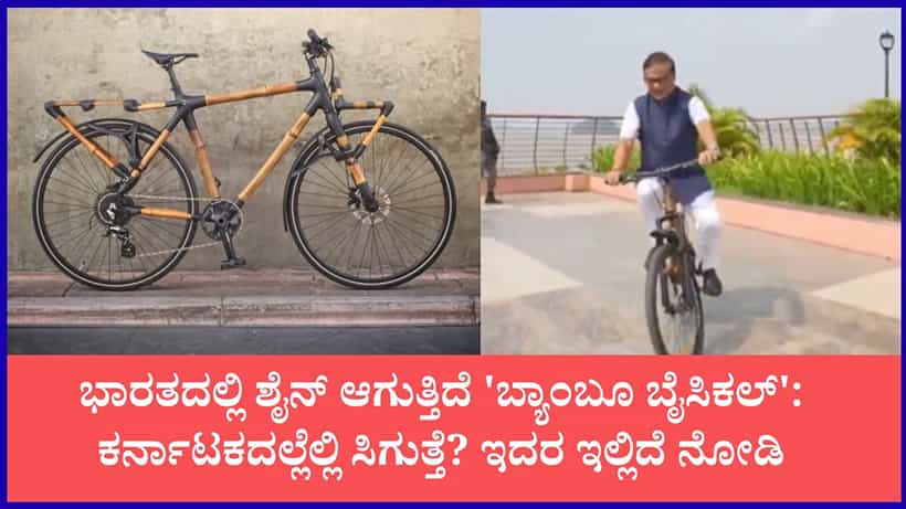 ಸ್ಟೀಲ್ಗಿಂತ ಗಟ್ಟಿ, ರಸ್ತೆ ಗುಂಡಿಗಳೇ ಗೊತ್ತಾಗಲ್ಲ: ಭಾರತದಲ್ಲಿ ಟ್ರೆಂಡ್ ಸೃಷ್ಟಿಸುತ್ತಿದೆ ಬಿದಿರಿನ ಸೈಕಲ್; ತಯಾರಿಕೆ, ಬೆಲೆ, ಕರ್ನಾಟಕದಲ್ಲೆಲ್ಲಿ ಸಿಗುತ್ತೆ?