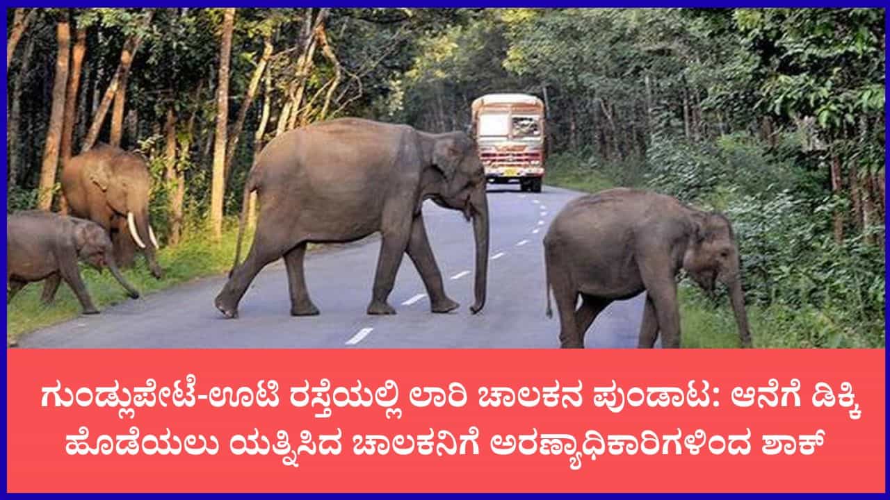 ಬಂಡೀಪುರದಲ್ಲಿ ಕಾಡಾನೆಗೆ ಲಾರಿ ಗುದ್ದಿಸಲು ಯತ್ನಿಸಿದ ಚಾಲಕ: ಕೇರಳ ಚಾಲಕನಿಗೆ 5,000 ರೂ. ದಂಡ ಬಂಡೀಪುರದಲ್ಲಿ ಕಾಡಾನೆಗೆ ಲಾರಿ ಗುದ್ದಿಸಲು ಯತ್ನಿಸಿದ ಚಾಲಕ: ಕೇರಳ ಚಾಲಕನಿಗೆ 5,000 ರೂ. ದಂಡ