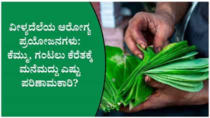 ವೀಳ್ಯದೆಲೆ ಸೇವಿಸುವ ಮುನ್ನ ಎಚ್ಚರ