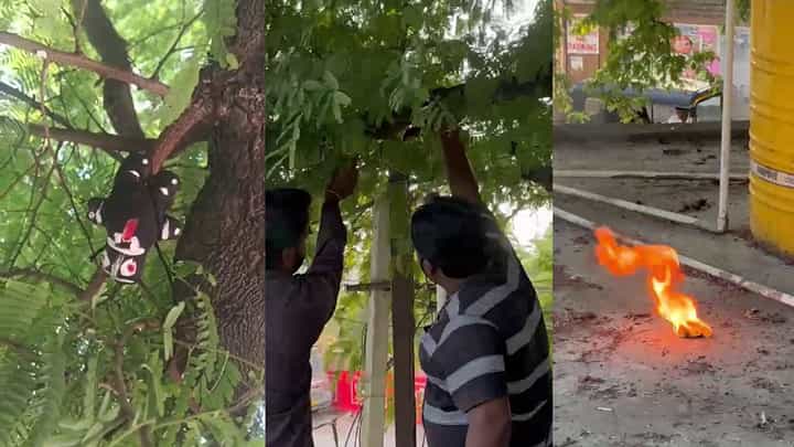 ಮಹಾಲಯ ಅಮಾವಾಸ್ಯೆಯಂದೇ ಪಿಡಬ್ಲೂಡಿ ಕಚೇರಿಯಲ್ಲಿ ವಾಮಾಚಾರ! ಮಹಾಲಯ ಅಮಾವಾಸ್ಯೆಯಂದೇ ಪಿಡಬ್ಲೂಡಿ ಕಚೇರಿಯಲ್ಲಿ ವಾಮಾಚಾರ!