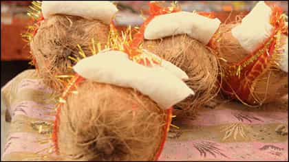 ಮನೆಯ ಮುಖ್ಯ ಬಾಗಿಲಿಗೆ ತೆಂಗಿನಕಾಯಿ ಕಟ್ಟುವುದು ಏಕೆ?