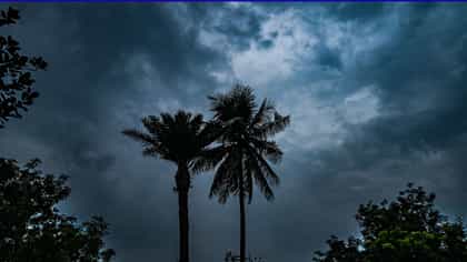 ಆಂಧ್ರ ಸಮೀಪಿಸುತ್ತಿದೆ ಅರ್ನಬ್ ಚಂಡಮಾರುತ; 4 ರಾಜ್ಯಗಳಲ್ಲಿ ಹೈ ಅಲರ್ಟ್​
