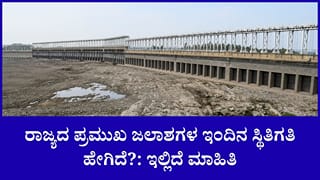 100 ಅಡಿಗೆ ಕುಸಿದ ಕೆಆರ್​​ಎಸ್​​ ನೀರಿನ ಮಟ್ಟ: ರಾಜ್ಯದ ಪ್ರಮುಖ ಡ್ಯಾಂಗಳ ಇಂದಿನಿ ಸ್ಥಿತಿಗತಿ ಇಲ್ಲಿದೆ