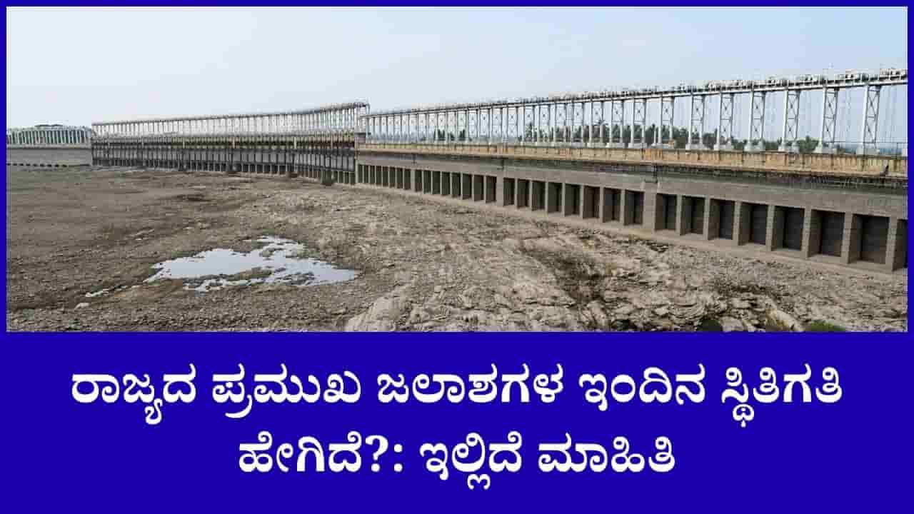 100 ಅಡಿಗೆ ಕುಸಿದ ಕೆಆರ್ಎಸ್ ನೀರಿನ ಮಟ್ಟ: ರಾಜ್ಯದ ಪ್ರಮುಖ ಡ್ಯಾಂಗಳ ಇಂದಿನಿ ಸ್ಥಿತಿಗತಿ ಇಲ್ಲಿದೆ