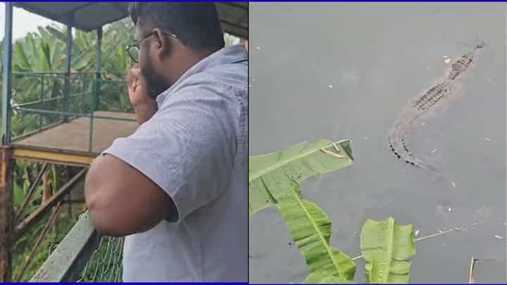 ದಾಂಡೇಲಿಯಲ್ಲಿ ಪ್ರವಾಸಿಗನ ಧ್ವನಿ ಕೇಳಿ ದಡಕ್ಕೆ ಬಂತು ಮೊಸಳೆ! ದಾಂಡೇಲಿಯಲ್ಲಿ ಪ್ರವಾಸಿಗನ ಧ್ವನಿ ಕೇಳಿ ದಡಕ್ಕೆ ಬಂತು ಮೊಸಳೆ!