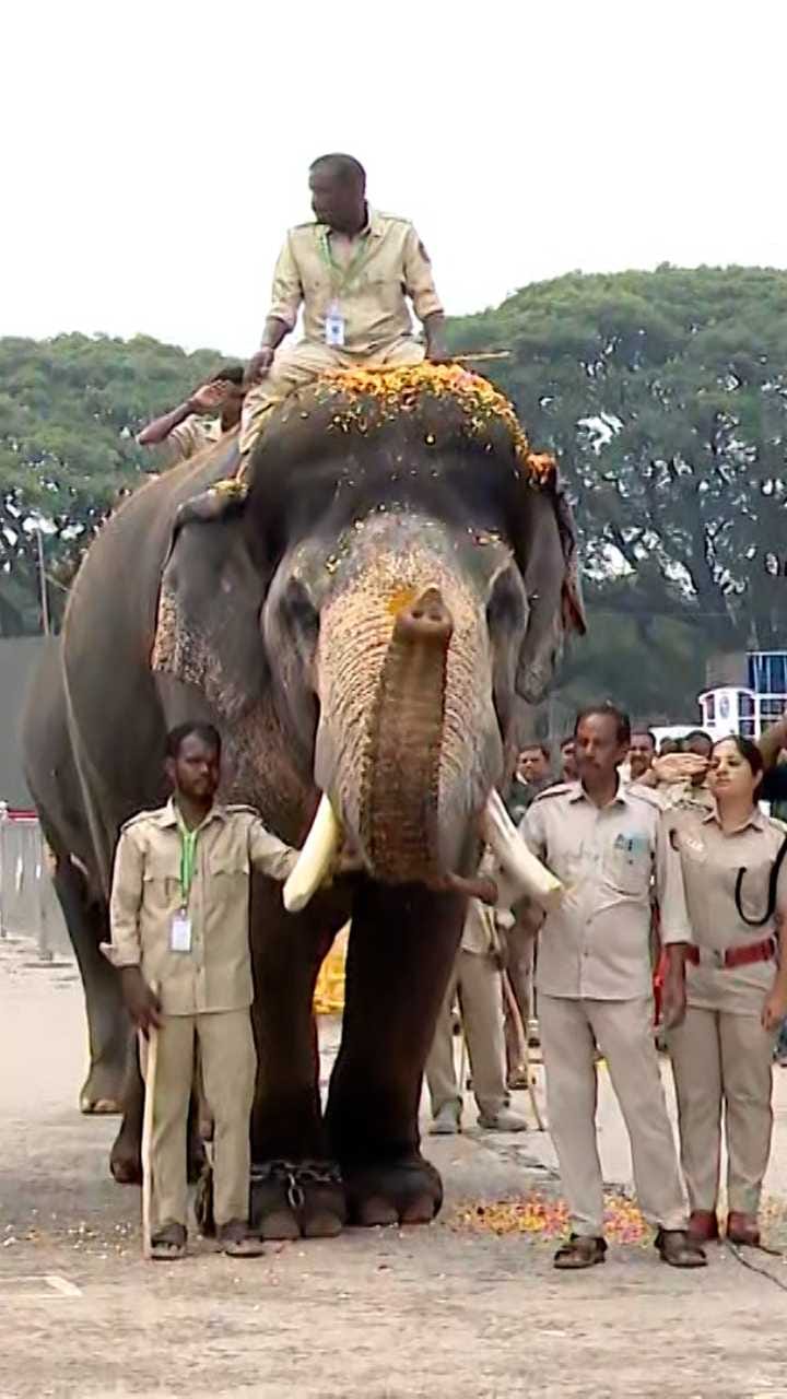 ದಸರಾ ಜಂಬೂಸವಾರಿ ಗಜಪಡೆಗೆ ಪುಷ್ಪಾರ್ಚನೆಯ ರಿಹರ್ಸಲ್ ನೋಡಿ!
