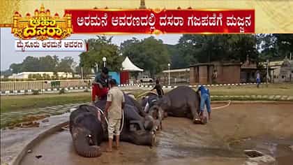 ಮೈಸೂರು ದಸರಾ: ಅರಮನೆ ಆವರಣದಲ್ಲಿ ದಸರಾ ಗಜಪಡೆಗೆ ಮಜ್ಜನ