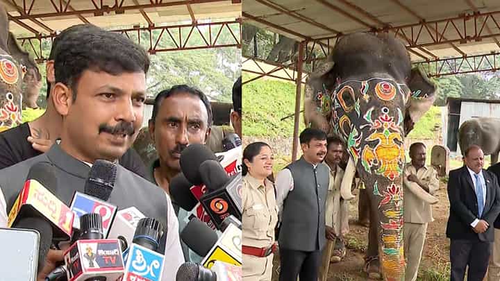 ಪ್ರಶಾಂತ-ಅಭಿಮನ್ಯು ಆನೆಗಳ ಶ್ರೇಷ್ಠ ಸೇವೆ: ದಸರಾ ಮುಕ್ತಾಯ, ಇಂದೇ ಕಾಡಿಗೆ ವಾಪಸಾಗುತ್ತಾ ಗಜಪಡೆ? ಪ್ರಶಾಂತ-ಅಭಿಮನ್ಯು ಆನೆಗಳ ಶ್ರೇಷ್ಠ ಸೇವೆ: ದಸರಾ ಮುಕ್ತಾಯ, ಇಂದೇ ಕಾಡಿಗೆ ವಾಪಸಾಗುತ್ತಾ ಗಜಪಡೆ?
