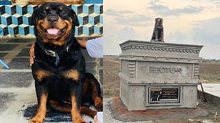 ಸಾಕು ನಾಯಿ ಸಾವು: ಶಾಸ್ತ್ರೋಕ್ತವಾಗಿ ಅಂತ್ಯಕ್ರಿಯೆ ನೆರವೇರಿಸಿ 2 ಲಕ್ಷ ರೂ. ವೆಚ್ಚದಲ್ಲಿ ಸಮಾಧಿ ನಿರ್ಮಿಸಿದ ಕುಟುಂಬ