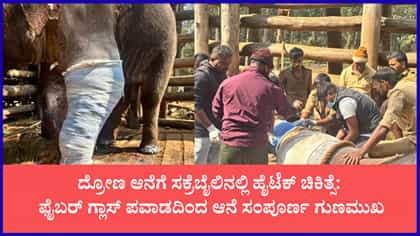 ಕಾಲು ಮುರಿದು ಬಿದ್ದಿದ್ದ ದ್ರೋಣ ಆನೆ ಈಗ ಫುಲ್ ಫಿಟ್