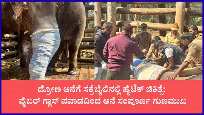 ಕಾಲು ಮುರಿದು ಬಿದ್ದಿದ್ದ ದ್ರೋಣ ಆನೆ ಈಗ ಫುಲ್ ಫಿಟ್