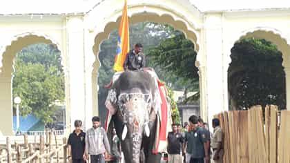 ದಸರಾ ಆನೆಗಳ ಗುಣ, ಸ್ವಭಾವದ ಬಗ್ಗೆ ಸಿಬ್ಬಂದಿ ಹೇಳಿದ ಮಾತುಗಳನ್ನು ಕೇಳಿ!