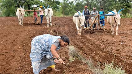 ಮಳೆ ಕೊರತೆಯಿಂದ ಬೆಳೆ ಆಯ್ಕೆ ಬಗ್ಗೆ ರೈತರಲ್ಲಿ ಗೊಂದಲ