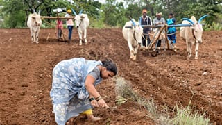 ಮಳೆ ಕೊರತೆಯಿಂದ ಹಿಂಗಾರು ಬಿತ್ತನೆಗೆ ಆತಂಕ: ಬೆಳಗಾವಿಯಲ್ಲಿ ಬೆಳೆ ಆಯ್ಕೆ ಬಗ್ಗೆ ರೈತರಲ್ಲಿ ಗೊಂದಲ