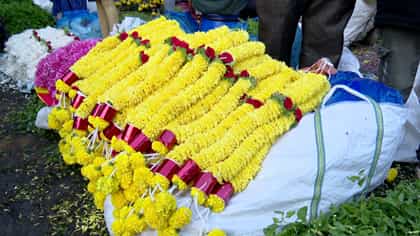 ದಸರಾ ಸಂಭ್ರಮ: ಹೂವು, ಹಣ್ಣಿನ ದರ ಎಷ್ಟಿದೆ? ಇಲ್ಲಿದೆ ವಿವರ