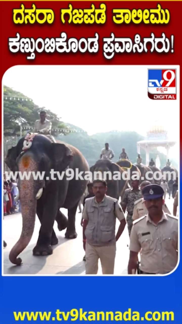 ದಸರಾ ಗಜಪಡೆ ತಾಲೀಮು ಕಣ್ತುಂಬಿಕೊಂಡ ಪ್ರವಾಸಿಗರು