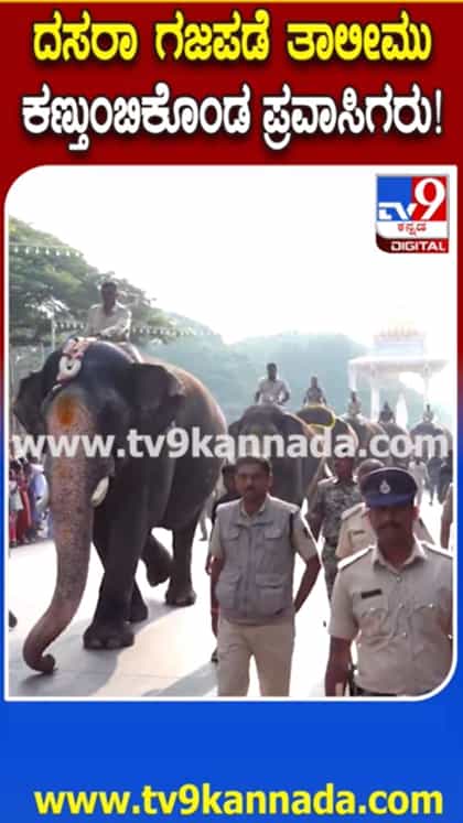 ದಸರಾ ಗಜಪಡೆ ತಾಲೀಮು ಕಣ್ತುಂಬಿಕೊಂಡ ಪ್ರವಾಸಿಗರು