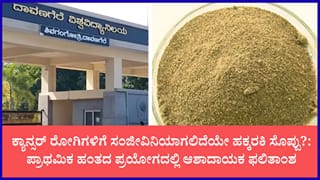 ಶ್ವಾಸಕೋಶ ಕ್ಯಾನ್ಸರ್‌ಗೆ ರಾಮಬಾಣವಾಗಲಿದೆಯೇ ಹಕ್ಕರಕಿ ಸೊಪ್ಪು?: ದಾವಣಗೆರೆ ವಿಶ್ವವಿದ್ಯಾಲಯದ ಹೊಸ ಸಂಶೋಧನೆ