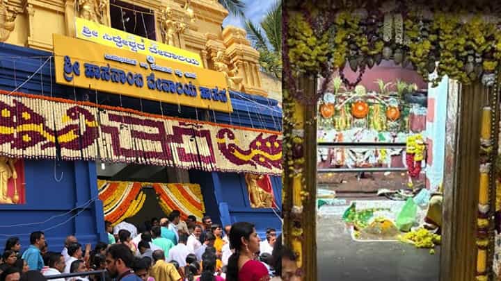 Hasanamba Utsava 2026 Live: ತೆರೆದ ಹಾಸನಾಂಬ ದೇಗುಲದ ಬಾಗಿಲು; ದರ್ಶನೋತ್ಸವದ ನೇರಪ್ರಸಾರ Hasanamba Utsava 2026 Live: ತೆರೆದ ಹಾಸನಾಂಬ ದೇಗುಲದ ಬಾಗಿಲು; ದರ್ಶನೋತ್ಸವದ ನೇರಪ್ರಸಾರ
