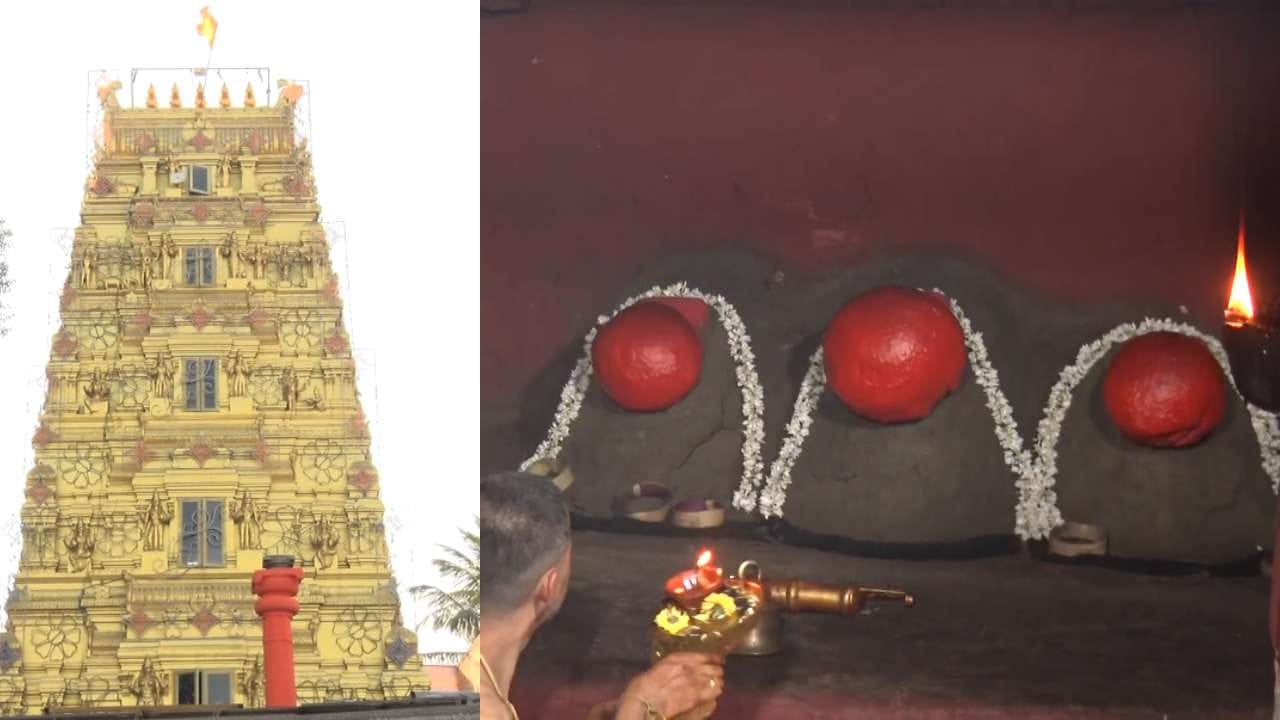 ಈ ವರ್ಷ ಅಕ್ಟೋಬರ್ 29ರಿಂದ ನವೆಂಬರ್ 11ರವರೆಗೆ ಒಟ್ಟು 14 ದಿನ ದೇಗುಲದ ಬಾಗಿಲು ತೆರೆಯಲಿದೆ. ಮೊದಲ ಹಾಗೂ ಕೊನೆಯ ದಿನ ಹೊರತುಪಡಿಸಿ ಒಟ್ಟು 12 ದಿನ ದೇವಿ ದರ್ಶನಕ್ಕೆ ಭಕ್ತರಿಗೆ ಅವಕಾಶ ಸಿಗಲಿದೆ.