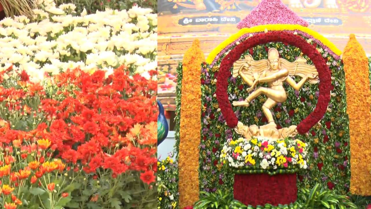 ಇನ್ನು ಮೈಸೂರು ದಸರಾ ಮಾದರಿಯಲ್ಲಿ ಲೈಟಿಂಗ್, ಲಾಲ್ಬಾಗ್ ಮಾದರಿಯಲ್ಲಿ ಫಲಪುಷ್ಪ ಪ್ರದರ್ಶನ ಮತ್ತು ಹಾಸನದ ಐತಿಹಾಸಿಕ ತಾಣಗಳನ್ನ ನೋಡಲು ಪ್ಯಾಕೇಜ್ ಟೂರ್ ಹೀಗೆ ಹಲವು ವಿಶೇಷತೆಗಳಿವೆ. ಇದೆ ಮೊದಲ ಬಾರಿಗೆ ರಾಜ್ಯ ಮತ್ತು ರಾಷ್ಟ್ರೀಯಮಟ್ಟದಲ್ಲಿ ವಾಲಿಬಾಲ್, ಕಬ್ಬಡ್ಡಿ, ಕುಸ್ತಿ ಪಂದ್ಯಾವಳಿ ಮತ್ತು ಶ್ವಾನ, ಎತ್ತು, ಮೇಕೆಗಳ ಪ್ರದರ್ಶನದ ಮೂಲಕ ಹಾಸನಾಂಬೆ ಉತ್ಸವವನ್ನು ಜನೋತ್ಸವವಾಗಿಸಲಾಗಿದೆ.