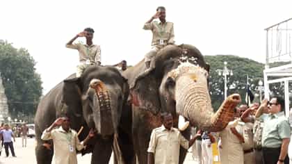 ವಿಶ್ವವಿಖ್ಯಾತ ಜಂಬೂ ಸವಾರಿಗೆ ದಿನಗಣನೆ: ಅರಮನೆ ಆವರಣದಲ್ಲಿ ಭರ್ಜರಿ ತಾಲೀಮು
