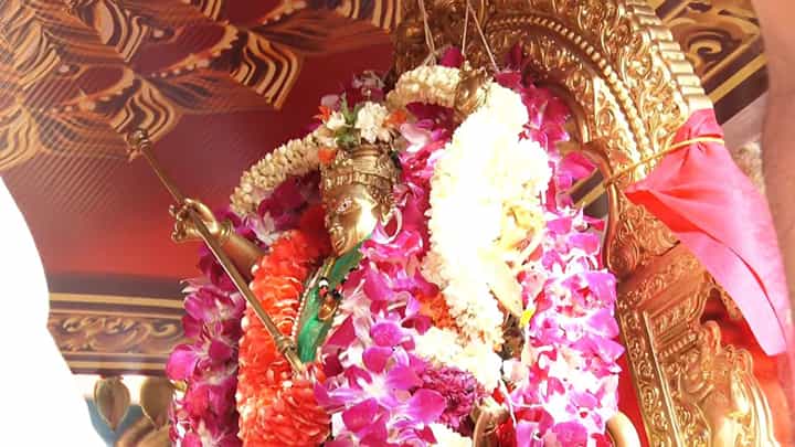 Mysuru Dasara 2026 Jamboo Savari Live: ವಿಶ್ವವಿಖ್ಯಾತ ಮೈಸೂರು ದಸರಾ ಜಂಬೂ ಸವಾರಿ ನೇರಪ್ರಸಾರ Mysuru Dasara 2026 Jamboo Savari Live: ವಿಶ್ವವಿಖ್ಯಾತ ಮೈಸೂರು ದಸರಾ ಜಂಬೂ ಸವಾರಿ ನೇರಪ್ರಸಾರ