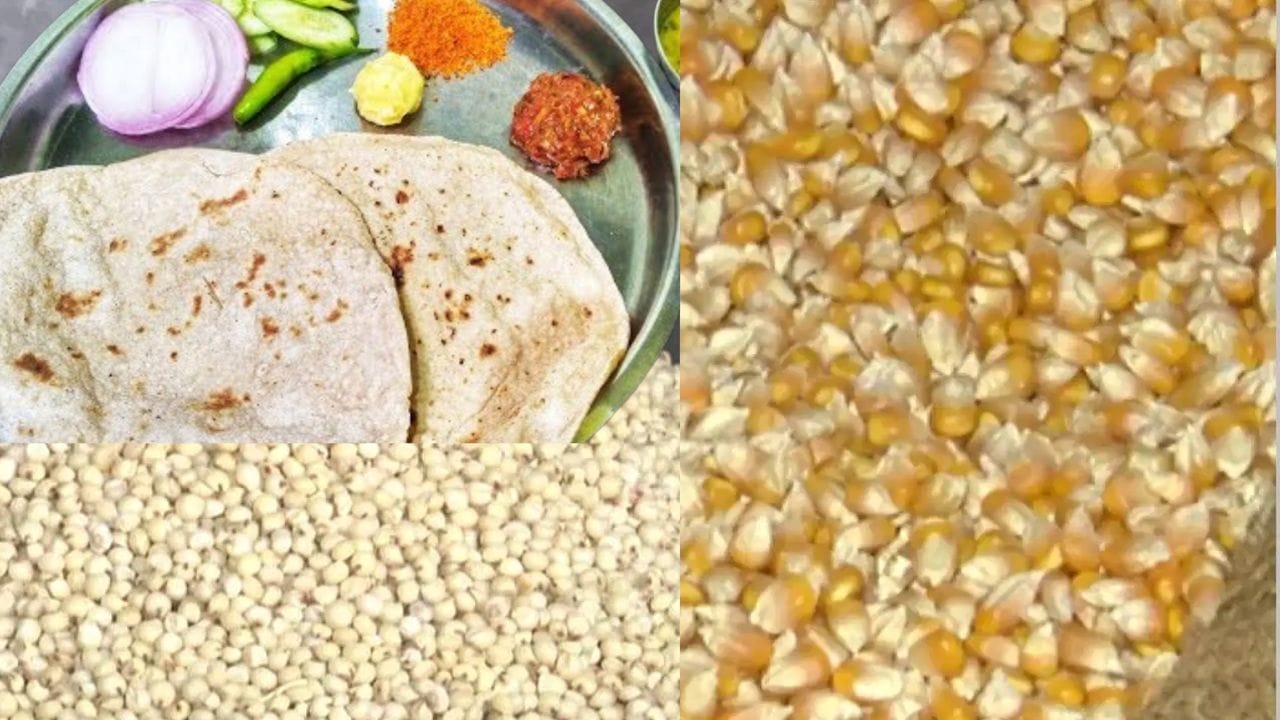 ಉತ್ತರ ಕರ್ನಾಟಕದಲ್ಲಿ ಬರದ ಬಿಸಿ: ಜೋಳದ ಬೆಲೆ ದಿಢೀರ್ ಏರಿಕೆ, ಜೋಳದ ರೊಟ್ಟಿ ದರವೂ ಹೆಚ್ಚಳ ಸಾಧ್ಯತೆ ಉತ್ತರ ಕರ್ನಾಟಕದಲ್ಲಿ ಬರದ ಬಿಸಿ: ಜೋಳದ ಬೆಲೆ ದಿಢೀರ್ ಏರಿಕೆ, ಜೋಳದ ರೊಟ್ಟಿ ದರವೂ ಹೆಚ್ಚಳ ಸಾಧ್ಯತೆ